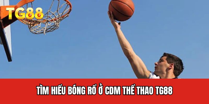 Tìm hiểu bóng rổ ở CDM thể thao TG88